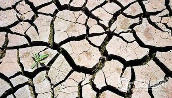 1566888522693519.png image.png