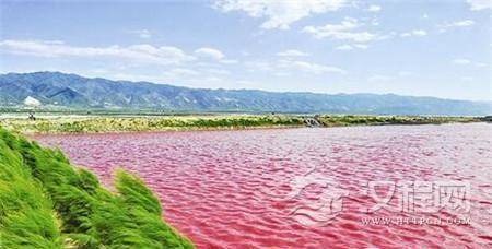 1493955918941624.jpg 2_副本4.jpg