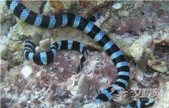 1515657122370245.jpg 2_171018172337_1.jpg