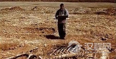 1490608092575367.jpg QQ截图20170327174913_副本.jpg