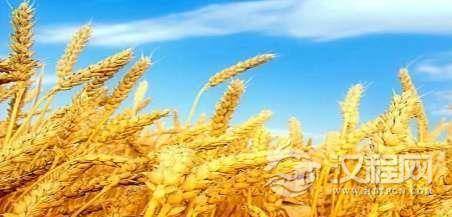 1539238630398809.png image.png