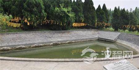 1498179897535392.jpg 18a5000201db20fa8548.jpg@100q.jpg