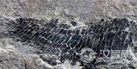 1486627287463831.jpg 20140512164346-909167383.jpg