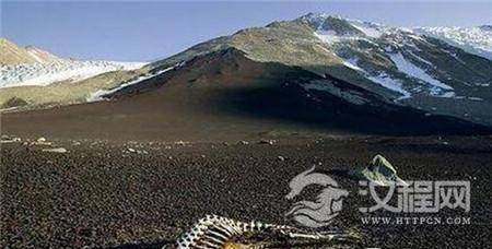 1484040387351040.jpg 1_副本.jpg