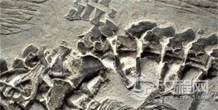 1486277194447321.jpg 562c11dfa9ec8a13348cb0b0f603918fa1ecc0c8.jpg