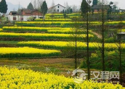 1562991053178185.png image.png