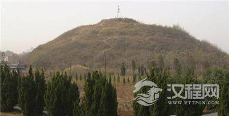 1492746898411454.jpg 1.jpg