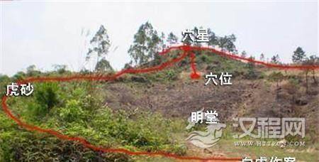 1504081527485866.jpg 1.jpg