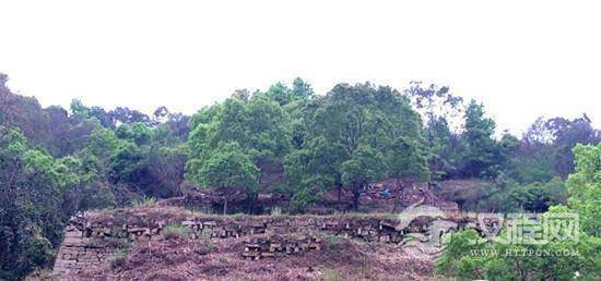 1476927587564395.jpg 2016418131643597.jpg