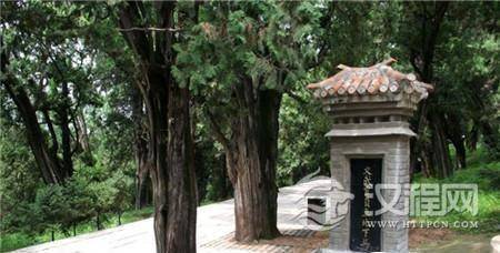 1482985023916839.jpg 1479038634548.jpg