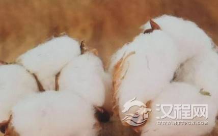 1569377449111265.png image.png