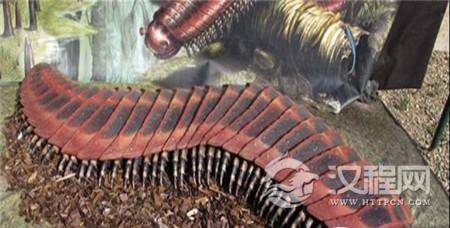 1495011914998117.jpg 7fa000549f58cede32c.jpg@100q.jpg