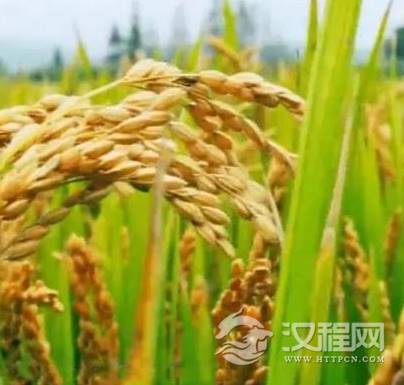 1599784951638734.png image.png