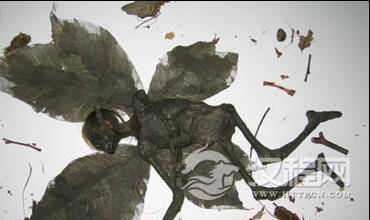 1481507677508238.jpg 1.jpg