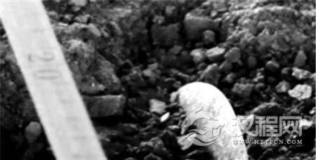 1484633671207834.jpg 20150419H0908_vhANu.thumb.700_0_副本.jpg