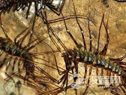 1595899860292355.png image.png