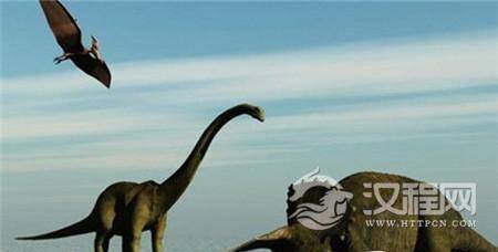 1485333317280063.jpg 1.jpg