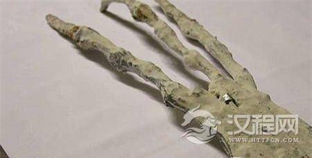 1484727993866239.jpg 2.jpg