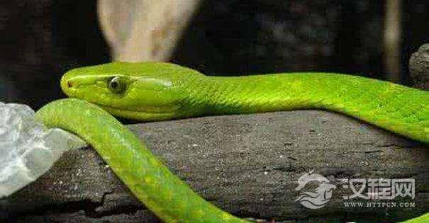 1517209938728018.jpg 1498204958137303.jpg