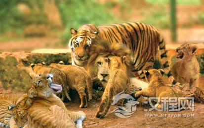 1601192014831455.png image.png