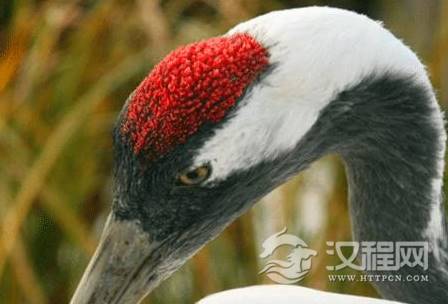 1592969616261536.png image.png