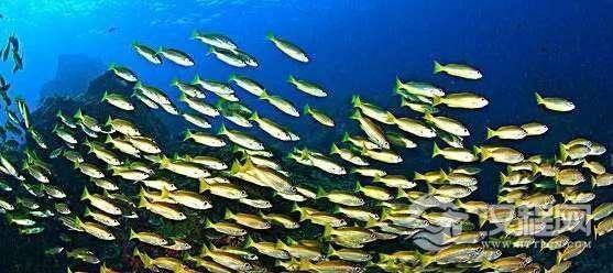 1516241029995581.png blob.png