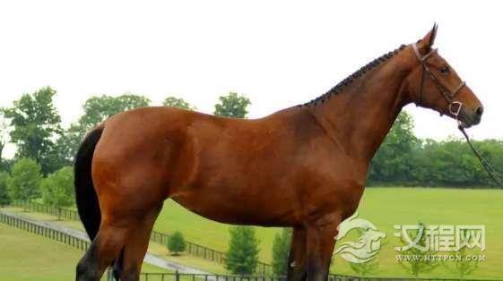 1532501439723222.png image.png