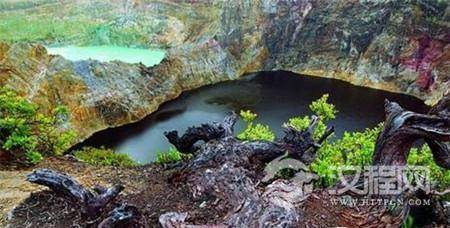 1493955913799283.jpg 1_副本4.jpg