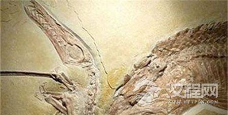 1486277213850061.jpg 20160808113012965.jpg