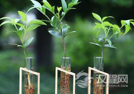 1601190808529356.png image.png