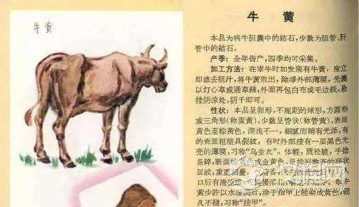 1516241060650306.png blob.png