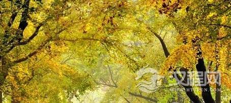 1482374868884841.png blob.png