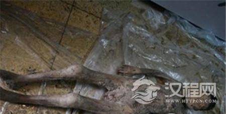 1487040921532466.jpg 25502227_1378796247107.jpg