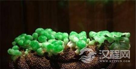 1503219446857206.jpg 1.jpg