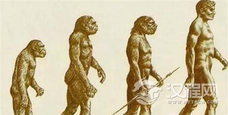 人类起源 人类起源