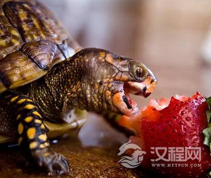 1583996228605902.png image.png