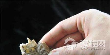 马鹿洞人 马鹿洞人