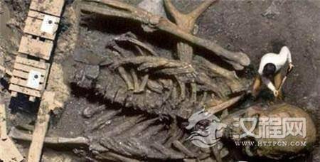 1484892108455163.jpg timg.jpg