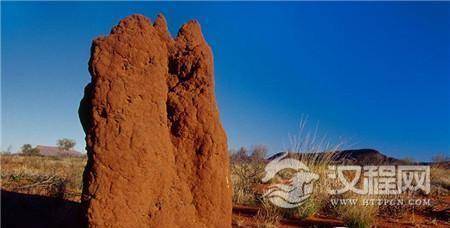 古老的蚁丘 古老的蚁丘