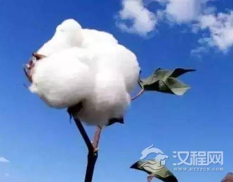 1547536496132372.png image.png