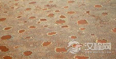 1486886857889034.jpg 147156895565988209.jpg