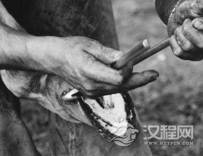 1560052196715923.png image.png