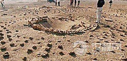 1479267817987363.jpg 搜狗截图16年11月16日1144_113.jpg