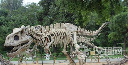 1488269884463464.jpg 20150207160349736_副本.jpg