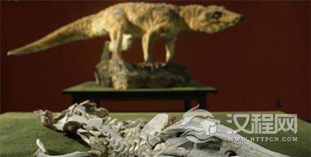 1483937969371112.jpg 8693024.jpg