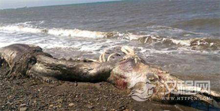 史前生物 史前生物