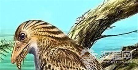 1487684263630065.jpg 20150805132708642_副本.jpg