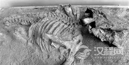 1486956404934356.jpg 2.jpg