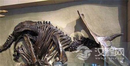 1489125350878591.jpg 20141222023529371_副本.jpg