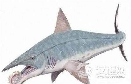 1487914452778261.jpg QQ截图20170224133355_副本.jpg